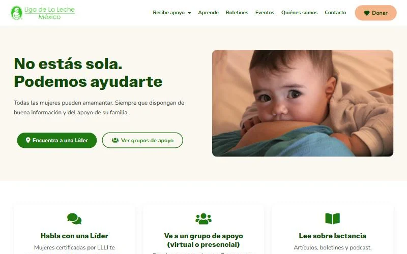 Sitio de Liga de La Leche México en computadora
